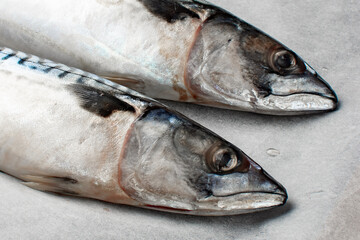 Fresh raw fish mackerel on paper parchment...
