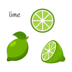 Whole lime with leaves, half and slice. Citrus fruit icon. Flat design. Color vector illustration isolated on a white background