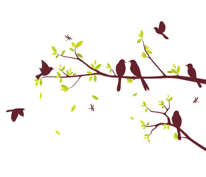 colorful Birds sitting on beautiful trees isolated on white background
