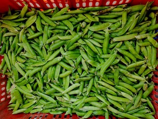 The pea is most commonly the small spherical seed or the seed-pod of the pod fruit Pisum sativum