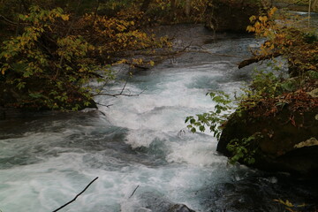 waterfall in the forest