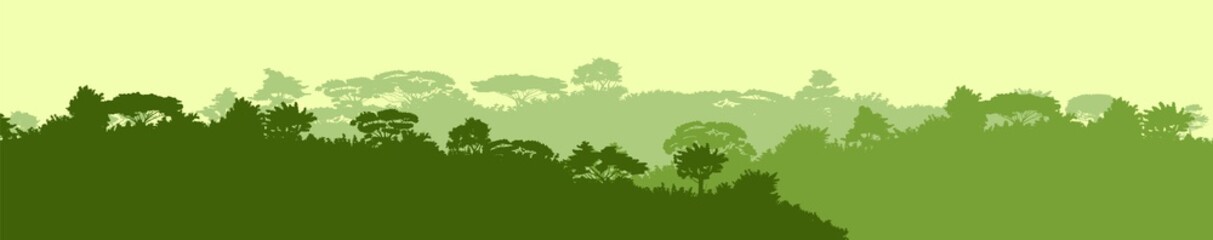 Fototapeta premium Deciduous forest. Silhouette. Mature, spreading trees. Thick thickets. Hills overgrown with plants. Sky.