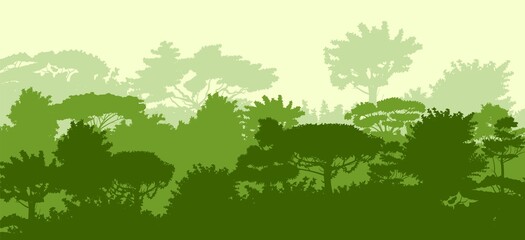 Fototapeta na wymiar Deciduous forest. Silhouette. Mature, spreading trees. Thick thickets. Hills overgrown with plants. Sky. Vector