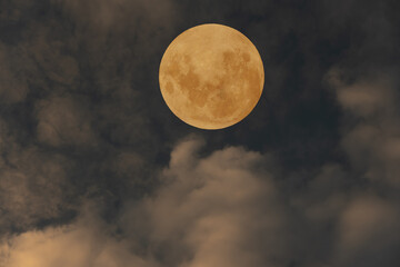 Naklejka na ściany i meble Orange full moon on the sky.