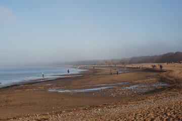 foggy morning beach of the Finnish gulf 