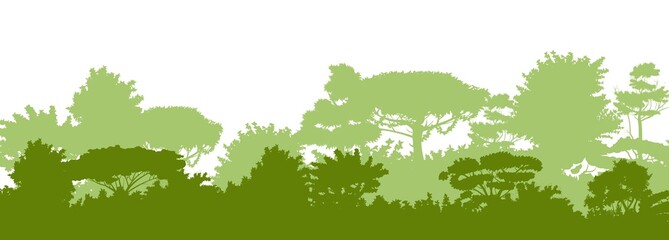 Deciduous forest. Silhouette. Mature, spreading trees. Thick thickets. Hills overgrown with plants. Isolated on a white background. Vector