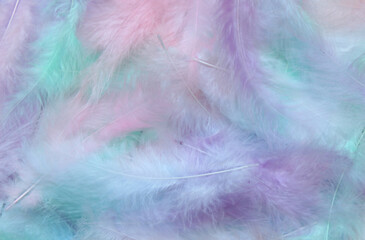 Multicoloured pastel Feather Banner Background wide message area with pastel coloured small random fluffy feathers