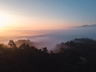 Fototapeta premium The sunrise and the fog in the forest