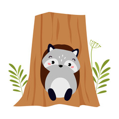 Funny Raccoon as Forest Animal Pepped Out from Tree Hollow Vector Illustration