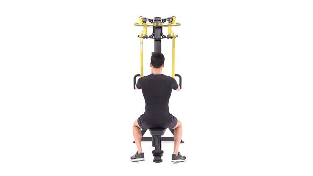 Shoulder Back Side Workout : Rear Delt Exercise Guide