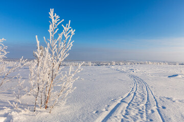 Winter landscape with snow-coverd trees