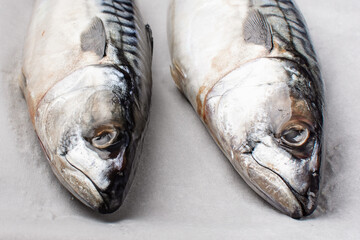 Fresh raw fish mackerel on paper parchment...