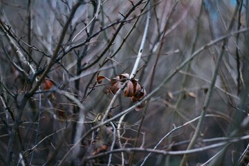 fishing on the river
