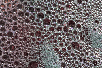 Gouttes d’eau de condensation sous feuille plastique 