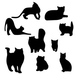 silhouette of a black cats and kittens
