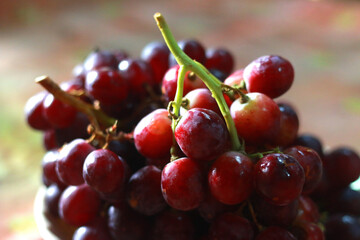 Healthy fruits Red wine grapes background/ dark grapes/ blue grapes/wine grapes,Red wine grapes background/dark grapes,blue grapes,Red Grape in a supermarket local market bunch of grapes ready to eat