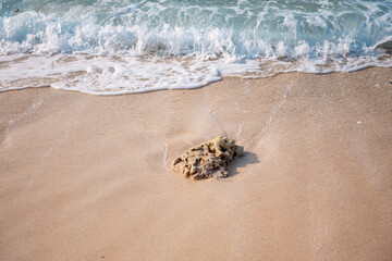 abstract sand of beach and soft wave background
