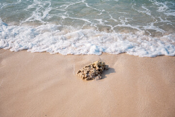abstract sand of beach and soft wave background