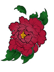 red flower peony