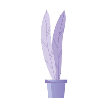 Purple House Plant In Purple Ceramic Pot Icon