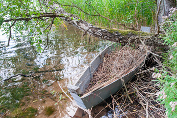 An old ruined, abandoned boat on the shore of a lake in reeds