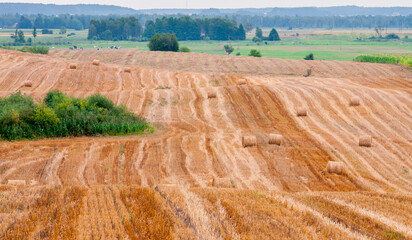 A stubble field with straw bales in Masuria