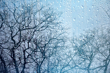 Fototapeta na wymiar raindrops on glass, view through the window landscape autumn forest, park