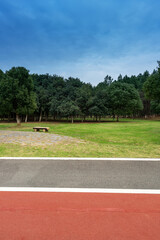 Beautiful panorama of green city park