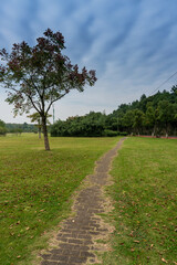 Beautiful panorama of green city park
