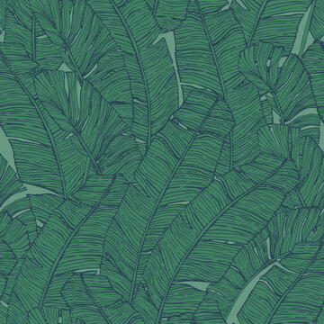 Jungle greenery background for print, textile, fabric, cover design. Dark green tropical leaf in line art style.