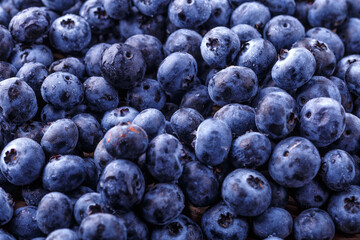 Fresh blueberries background with copy space for your text. Vegan and vegetarian concept. Macro texture of blueberry berries.Texture blueberry berries close up