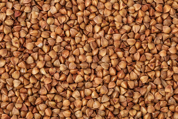  Close-up buckwheat background.Buckwheat. fresh buckwheat.