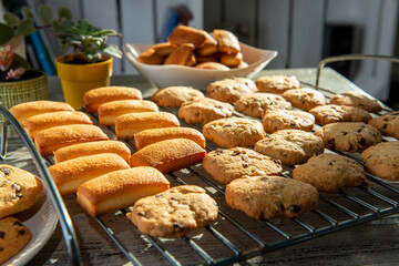 homemade financier cakes and cookies,