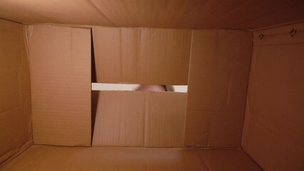View from inside of brown carton box at happy young white kid surprised with object in cardboard package. Wide angle point of view shoot of kid's hands grabbing something from bottom of paperboard box - Powered by Adobe