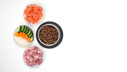 Dry pet dog food in bowl with natural ingredients. Raw meat, fish, vegetables, eggs and salad. concept of correct balanced and healthy nutrition for pet, flat lay