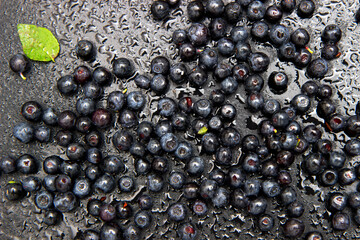 Ripe and tasty blueberries with green leaves on dark background. Bilberries close-up. Copy space for your text. Healthy food