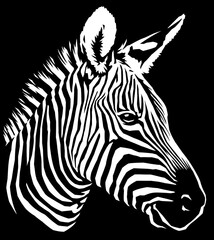 Fototapeta na wymiar black and white linear paint draw zebra illustration art