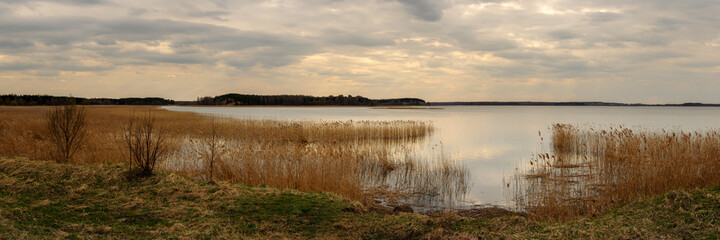 Obraz premium cloudy spring day. wide panoramic view from the grassy coast to a large calm lake with coastal reeds and the opposite shore under a dramatic sky