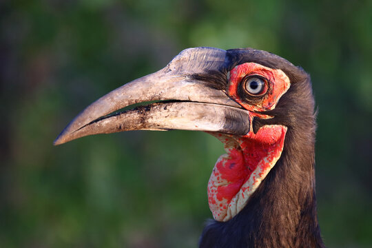 รูปภาพTokos – เลือกดูภาพถ่ายสต็อก เวกเตอร์ และวิดีโอ531 | Adobe Stock