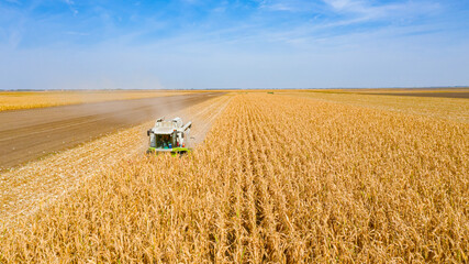 Above view on combine, harvester machine, harvest ripe maize