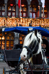 A black and white horse with a carriage waiting for customers in front of a building with Christmas lights in Brugge, Belgium.