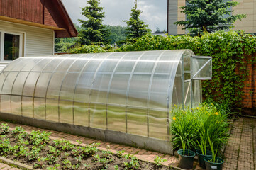 Small greenhouse in the backyard