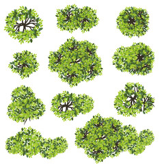 Obraz premium Collection of abstract green tree top view isolated on white background for landscape plan and architecture layout drawing, elements for environment and garden, green grass illustration 