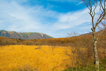 沼ッ原湿原の秋の景色