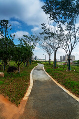 The road of City Park in China