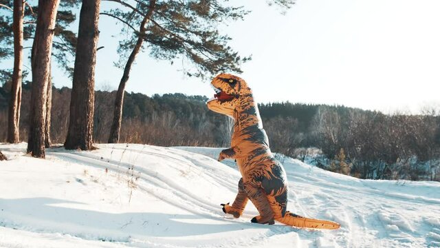 Dinosaur Tirex is climbing a mountain in winter on a sunny day
