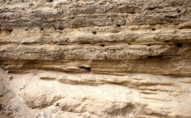 Steep wall of gray-brown sand with holes swallows nests in autumn. Background