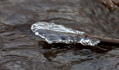 A piece of ice frozen on a tree branch close-up against the dark water of a fast river in early...