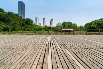 Lush greener around the pond in the park