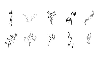 Doodle simple vector collection of 10 hand-drawn floral elements. Big collection of 10 hand-drawn branches. Big floral botanical set. Isolated on white background.